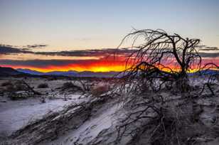 Sunrise over the desert-9737 Sunrise over the desert-9737